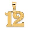 14k Polished Etched Number 12 Pendant