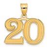 14k Polished Etched Number 20 Pendant