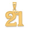 14k Polished Etched Number 21 Pendant