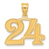 14k Polished Etched Number 24 Pendant