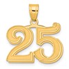 14k Polished Etched Number 25 Pendant
