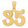 14k Polished Etched Number 35 Pendant
