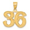 14k Polished Etched Number 36 Pendant