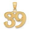 14k Polished Etched Number 39 Pendant