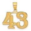 14k Polished Etched Number 43 Pendant