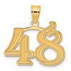 14k Polished Etched Number 48 Pendant