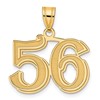14k Polished Etched Number 56 Pendant