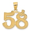 14k Polished Etched Number 58 Pendant