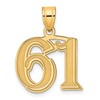 14k Polished Etched Number 61 Pendant