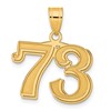 14k Polished Etched Number 73 Pendant