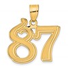 14k Polished Etched Number 87 Pendant