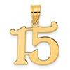 14k Polished Number 15 Pendant