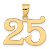 14k Polished Number 25 Pendant