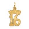 14k SWEET 16 Charm
