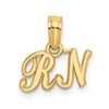 14k R.N. Charm