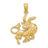 14k Large Taurus Zodiac Charm