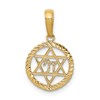 14K Star of David and Chai in Circle Pendant