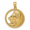 14k Polished Lion with Mane in Textured Circle Pendant