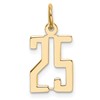 14k Small Elongated Number 25 Charm