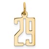 14k Small Elongated Number 29 Charm