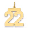 14k Medium Polished Number 22 Charm