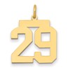 14k Medium Polished Number 29 Charm