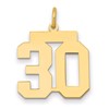 14k Medium Polished Number 30 Charm