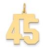 14k Medium Polished Number 45 Charm
