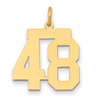 14k Medium Polished Number 48 Charm