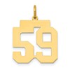 14k Medium Polished Number 59 Charm