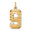 14k Large Brushed Diamond-cut Number 9 Charm