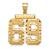 14k Large Brushed Diamond-cut Number 69 Charm