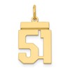 14k Small Polished Number 51 Charm