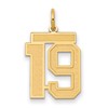 14k Medium Satin Number 19 Charm