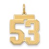 14k Medium Satin Number 53 Charm