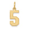14k Small Satin Number 5 Charm