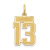 14k Small Satin Number 13 Charm