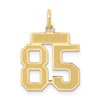 14k Small Satin Number 85 Charm