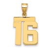 14k Medium Polished Number 16 Charm
