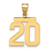 14k Medium Polished Number 20 Charm