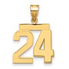 14k Medium Polished Number 24 Charm