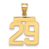 14k Medium Polished Number 29 Charm