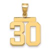 14k Medium Polished Number 30 Charm