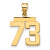 14k Medium Polished Number 73 Charm