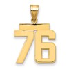 14k Medium Polished Number 76 Charm