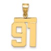 14k Medium Polished Number 91 Charm