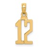14k Polished Number 12 Pendant