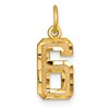 14k Small Brushed Diamond-cut Number 6 Charm