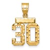 14k Small Brushed Diamond-cut Number 30 Charm
