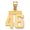 14k Small Polished Number 46 Charm
